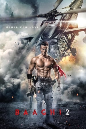 Baaghi 2 2018 Hindi Movie Pre- [170MB]