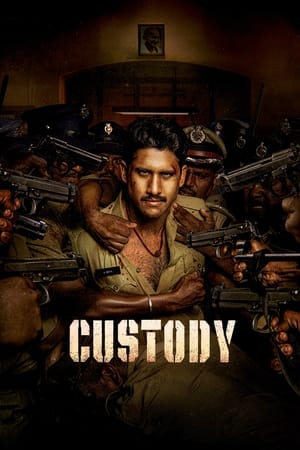 Custody 2023 Hindi (ORG) Dubbed HDTVRip –