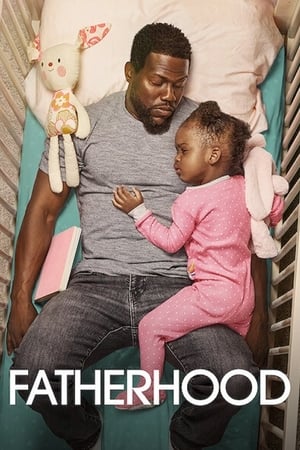 Fatherhood (2021) Hindi Dual Audio 350MB