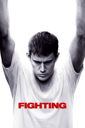 Fighting (2009) Hindi Dual Audio 450MB