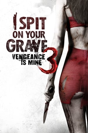 I Spit on Your Grave: Vengeance Is Mine (2015) Hindi Dual Audio –