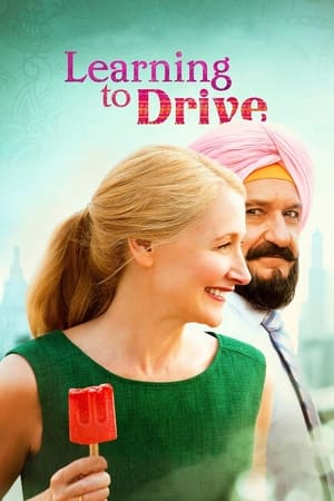 Learning to Drive (2014) Hindi Dual Audio [850MB]