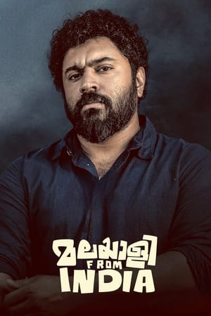 Malayalee from India (2024) [Hindi + Malayalam] – – 1080p